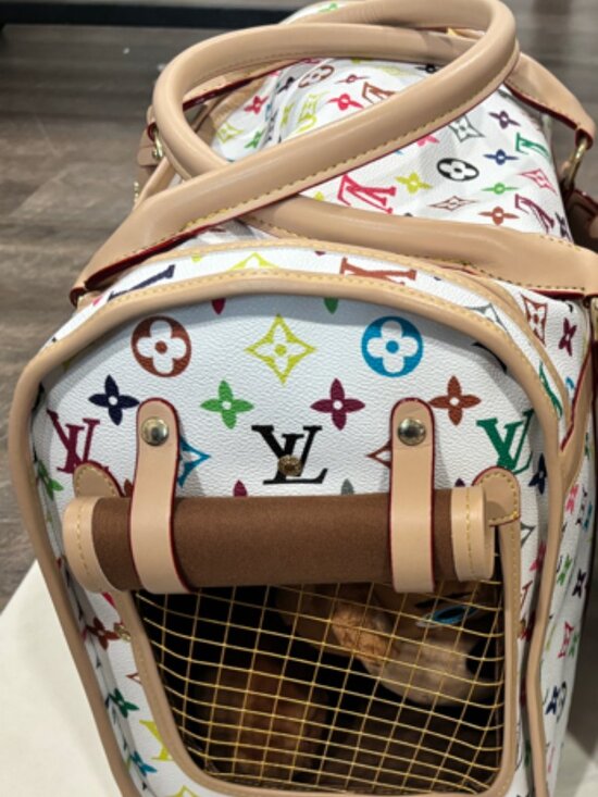 Handbags - 🐈 🐩Luxury Pet Carrier 17x9x13 Approximately